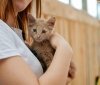 Как одесситы расхватывали животных из приютов: самые трогательные фото