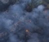 Рятувальники ліквідували пожежу в зоні відчуження