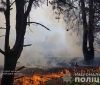 У заповіднику Хортиця сталася пожежа