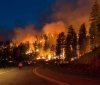 У Хорватії вже другу добу горять ліси