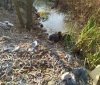 Мaйже 60 вінничaн сплaтять штрaф зa злив відходів у водойми 