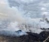 Вінницькі екологи нагадали, що за спалювання сміття можна отримати штраф