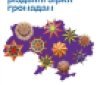 Громадам України пропонують безкоштовно отримати великі різдвяні зірки для святкових ход