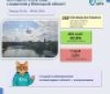 На Вінниччині перевірили якість питної води: у 7 пробах виявили відхилення