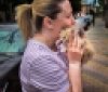 У Вінниці рятувальники врятували кошеня, яке застрягло під капотом автомобіля