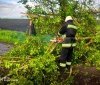 Негода на Вінниччині: рятувальники прибирали повалені дерева з автошляхів