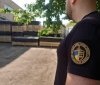На Вінниччині митники викрили спробу незаконного вивезення дубових пиломатеріалів на понад мільйон гривень