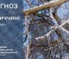 Погода на 23 лютого: холодна ніч і сонячний день
