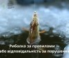 На Південному Бузі викрили трьох порушників правил любительського рибальства