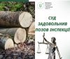 На Вінниччині суд зобов’язав відшкодувати понад 22 тисячі гривень збитків за незаконну вирубку дерев
