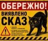 У селі Урожайне на Вінниччині підтвердили випадок сказу: запроваджено карантинні обмеження