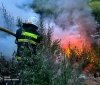 За добу на Вінниччині ліквідували три пожежі в екосистемах: причиною стала людська необережність