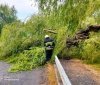 Негода на Вінниччині: рятувальники чотири рази виїжджали на ліквідацію наслідків сильного вітру