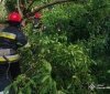  Негода на Вінниччині: рятувальники прибрали повалені дерева у Вінниці та Літинській громаді
