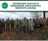У громадах Вінниччини почали діяти бригади з відстрілу червоної лисиці