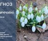 Погода на 16 березня: мокрий сніг, дощ та похолодання
