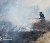 11 пожеж за добу: рятувальники Вінниччини боролися з вогнем у житловому секторі та екосистемах