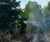 За добу на Вінниччині сталося 12 пожеж: вогонь знищив понад 12 гектарів землі