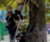 У Вінниці 9-річний хлопчик застряг на дереві — рятувальники допомогли спуститися
