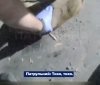 Зі зламаною ногою лежала біля дороги: у Вінниці патрульні врятували поранену козулю