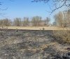 На Вінниччині пожежа в екосистемі забрала життя 85-річної жінки