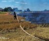 На Вінниччині вогонь знищив понад 6 гектарів землі: рятувальники ліквідували шість пожеж