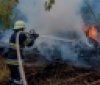 На Вінниччині за добу вигоріло близько 3 гектарів сухої трави