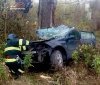 Смертельна ДТП на Вінниччині: загинули водій і 16-річний пасажир
