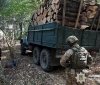 На Вінниччині завершили розслідування справи щодо незаконної вирубки лісу на майже 6,5 млн грн