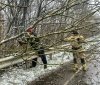 Через негоду на Вінниччині рятувальники розчищали дороги від повалених дерев