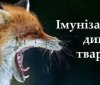 На Вінниччині стартує весняна імунізація диких тварин від сказу: просять не чіпати приманки