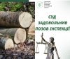 Лісник із Калинівки відповість за незаконну вирубку дерев і розтрату ввіреного майна