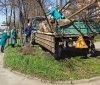 У Вінниці висаджують нові дерева на Хмельницькому шосе