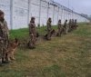 Кінологи вінницького полку НГУ вдосконалюють навички службових собак