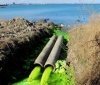 ​​Крим на межі екологічної катастрофи: що відомо 