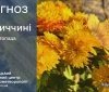 Погода на вихідні у Вінниці та області: хмарно, подекуди туман і невеликий дощ