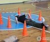 На Вінниччині відбувся обласний етап гри «Сокіл» («Джура») за участі ювенальних поліцейських
