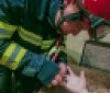 Обручка ледь не стала пасткою: у Вінниці рятувальники звільняли палець жінки