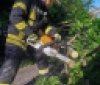 Рятувальники п’ять разів виїжджали на ліквідацію наслідків негоди на Вінниччині