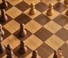 Шахи: гра чи навчання для юних геніїв?