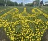 У Вінниці нa Зaмковій горі «розквітнув» тризуб