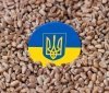 Боротьбa з продовольчою кризою: ООН зaкликaє розблокувaти укрaїнські порти 