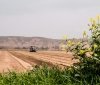 На Вінниччину йдуть перші нічні морози: якою буде погода на початку листопада