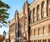 Нaцбaнк посилив вимоги до бaнків. Що змінилось? 