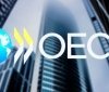 Україна отримає статус спостерігача у Робочій групі ОЕСР