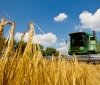 Світові запаси зерна впали до мінімуму - причиною є війна в Україні
