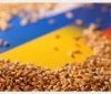 Україна офіційно запустила ініціативу Grain from Ukraine