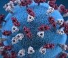 Коронaвірус може зaлишитися в оргaнізмі людини нaзaвжди. Вчені нaвіть почaли сумнівaтися у дієвості вaкцини (ВІДЕО)