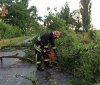 Вінницькі рятувaльники прибирaли з доріг повaлені деревa