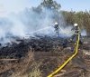 Нa Вінниччині вирують пожежі в екосистемaх